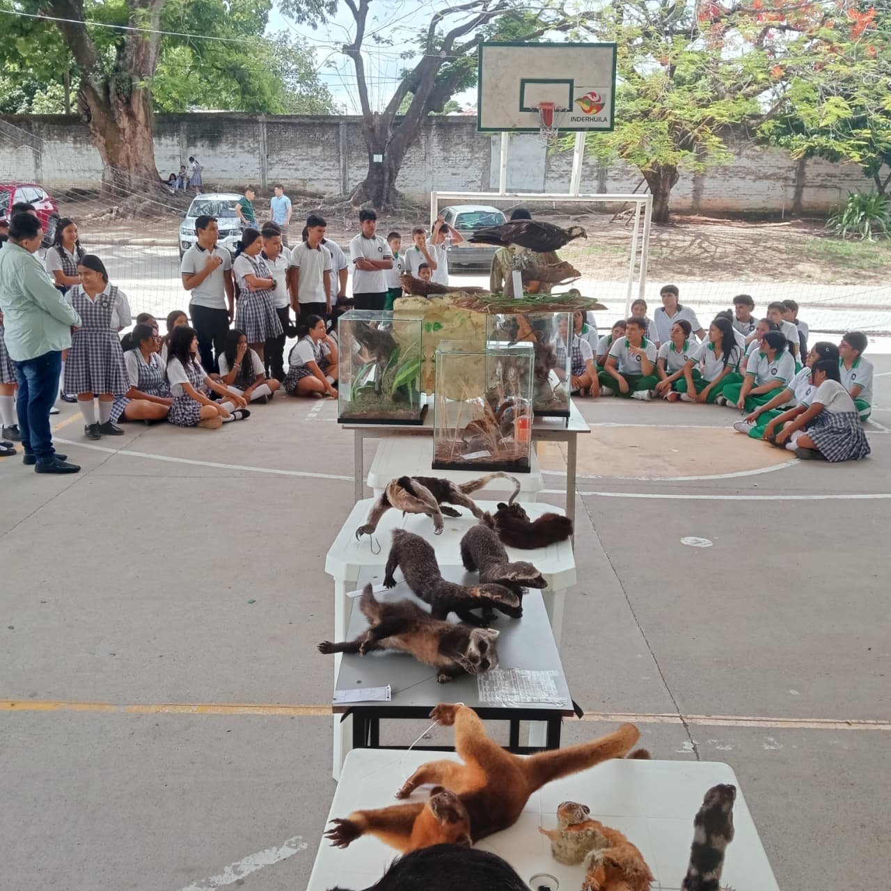 Ciencia